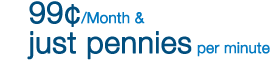 99C/Month & just pennies per minute.