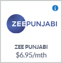 ZEE Punjabi Logo